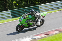 brands-hatch-photographs;brands-no-limits-trackday;cadwell-trackday-photographs;enduro-digital-images;event-digital-images;eventdigitalimages;no-limits-trackdays;peter-wileman-photography;racing-digital-images;trackday-digital-images;trackday-photos